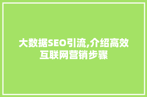大数据SEO引流,介绍高效互联网营销步骤