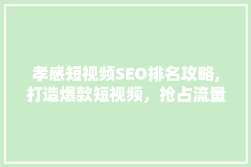 孝感短视频SEO排名攻略,打造爆款短视频，抢占流量高地