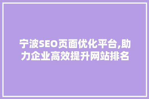 宁波SEO页面优化平台,助力企业高效提升网站排名