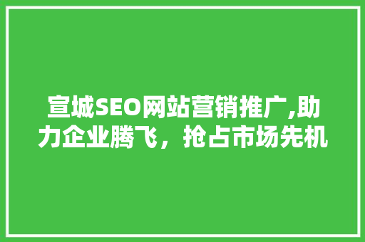 宣城SEO网站营销推广,助力企业腾飞，抢占市场先机