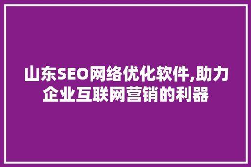 山东SEO网络优化软件,助力企业互联网营销的利器
