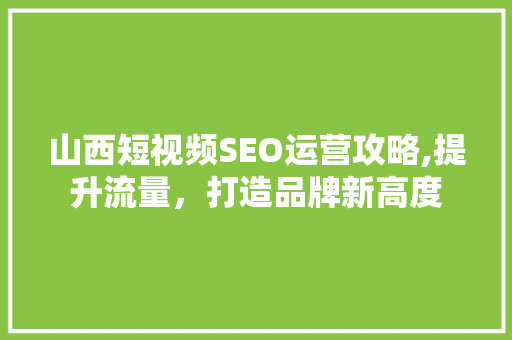 山西短视频SEO运营攻略,提升流量，打造品牌新高度