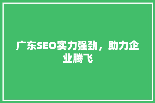 广东SEO实力强劲，助力企业腾飞