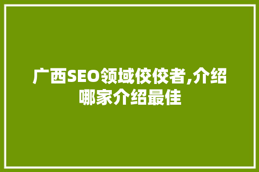 广西SEO领域佼佼者,介绍哪家介绍最佳