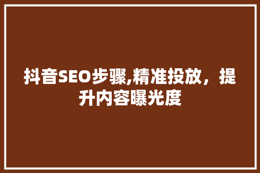 抖音SEO步骤,精准投放，提升内容曝光度
