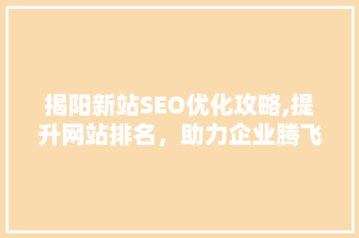 揭阳新站SEO优化攻略,提升网站排名，助力企业腾飞