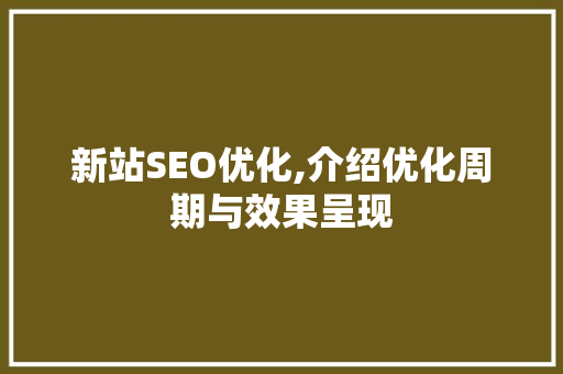 新站SEO优化,介绍优化周期与效果呈现  第1张
