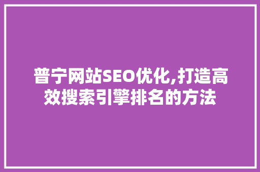 普宁网站SEO优化,打造高效搜索引擎排名的方法