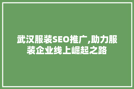 武汉服装SEO推广,助力服装企业线上崛起之路