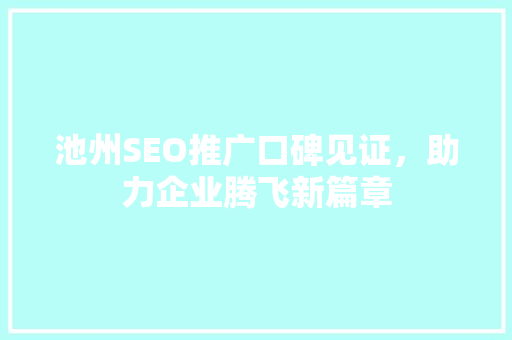 池州SEO推广口碑见证，助力企业腾飞新篇章