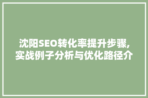 沈阳SEO转化率提升步骤,实战例子分析与优化路径介绍