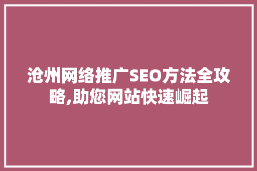 沧州网络推广SEO方法全攻略,助您网站快速崛起