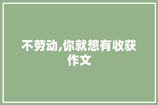 海曙SEO服务,专业优化，助力企业腾飞