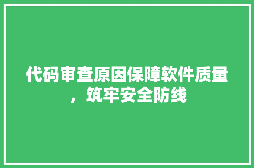 代码审查原因保障软件质量，筑牢安全防线  第1张