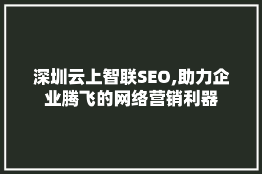 深圳云上智联SEO,助力企业腾飞的网络营销利器