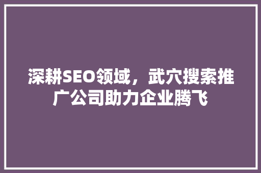 深耕SEO领域，武穴搜索推广公司助力企业腾飞