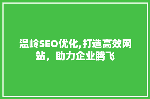 温岭SEO优化,打造高效网站，助力企业腾飞