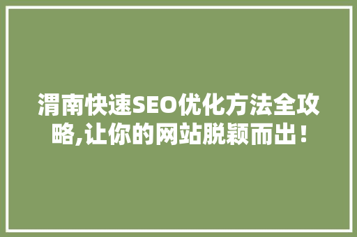 渭南快速SEO优化方法全攻略,让你的网站脱颖而出！