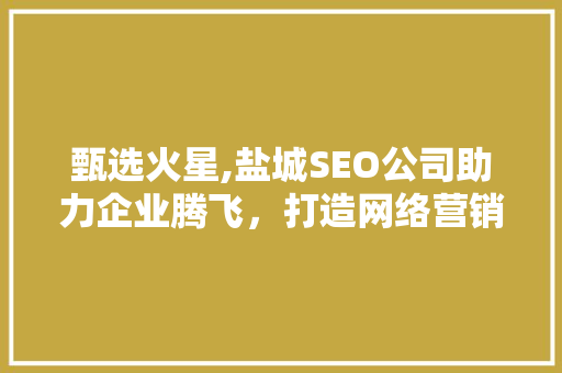 甄选火星,盐城SEO公司助力企业腾飞，打造网络营销新格局