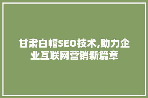 甘肃白帽SEO技术,助力企业互联网营销新篇章
