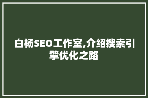 白杨SEO工作室,介绍搜索引擎优化之路