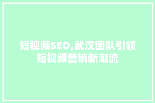 短视频SEO,武汉团队引领短视频营销新潮流