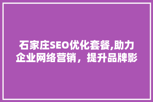 石家庄SEO优化套餐,助力企业网络营销，提升品牌影响力