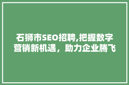 石狮市SEO招聘,把握数字营销新机遇，助力企业腾飞