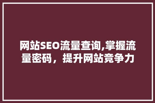 网站SEO流量查询,掌握流量密码，提升网站竞争力