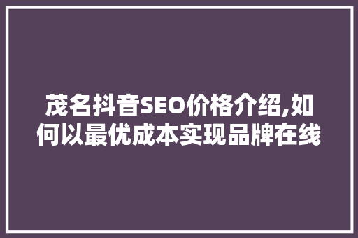 茂名抖音SEO价格介绍,如何以最优成本实现品牌在线营销