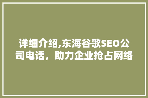 详细介绍,东海谷歌SEO公司电话，助力企业抢占网络营销高地