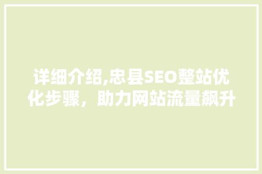 详细介绍,忠县SEO整站优化步骤，助力网站流量飙升