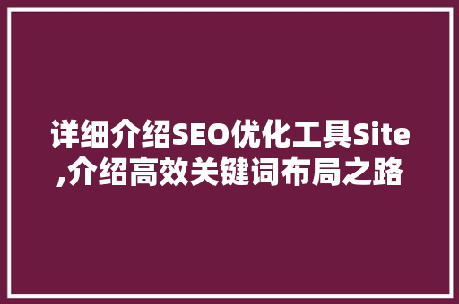 详细介绍SEO优化工具Site,介绍高效关键词布局之路