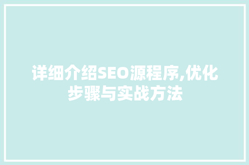 详细介绍SEO源程序,优化步骤与实战方法  第1张