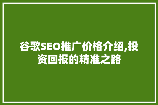 谷歌SEO推广价格介绍,投资回报的精准之路