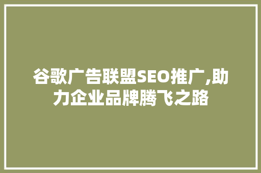 谷歌广告联盟SEO推广,助力企业品牌腾飞之路