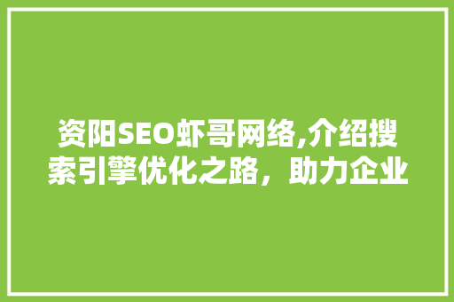 资阳SEO虾哥网络,介绍搜索引擎优化之路，助力企业腾飞