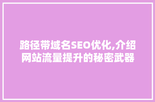 路径带域名SEO优化,介绍网站流量提升的秘密武器