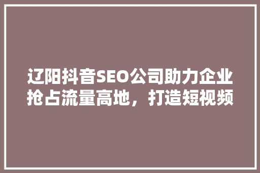 辽阳抖音SEO公司助力企业抢占流量高地，打造短视频营销新格局