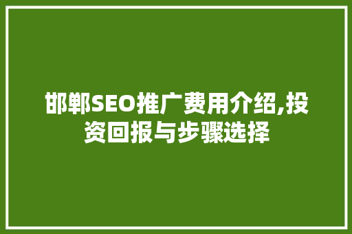 邯郸SEO推广费用介绍,投资回报与步骤选择