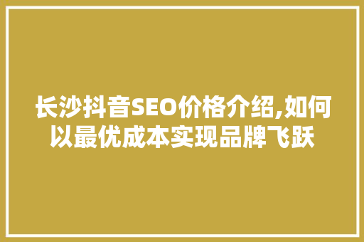 长沙抖音SEO价格介绍,如何以最优成本实现品牌飞跃