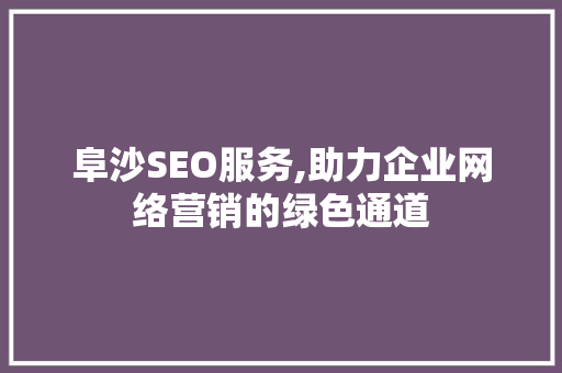 阜沙SEO服务,助力企业网络营销的绿色通道