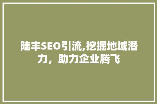 陆丰SEO引流,挖掘地域潜力，助力企业腾飞