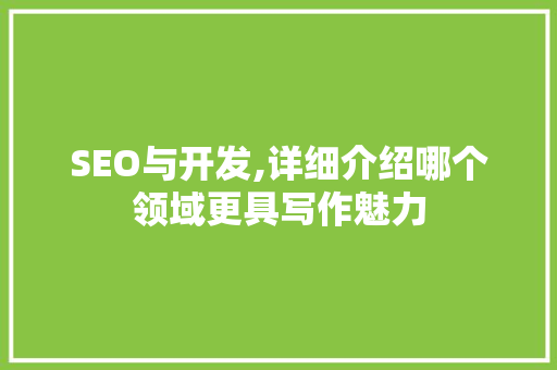 SEO与开发,详细介绍哪个领域更具写作魅力