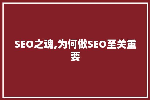 SEO之魂,为何做SEO至关重要