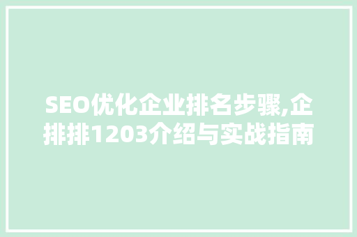 SEO优化企业排名步骤,企排排1203介绍与实战指南