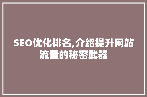 SEO优化排名,介绍提升网站流量的秘密武器