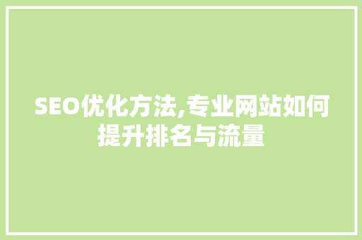 SEO优化方法,专业网站如何提升排名与流量