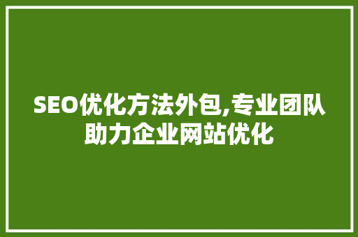 SEO优化方法外包,专业团队助力企业网站优化