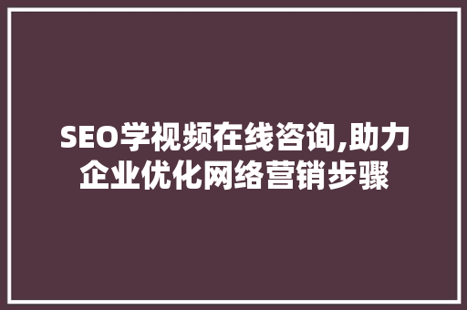 SEO学视频在线咨询,助力企业优化网络营销步骤